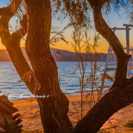 Mikri Vigla Hotel Beach Resort