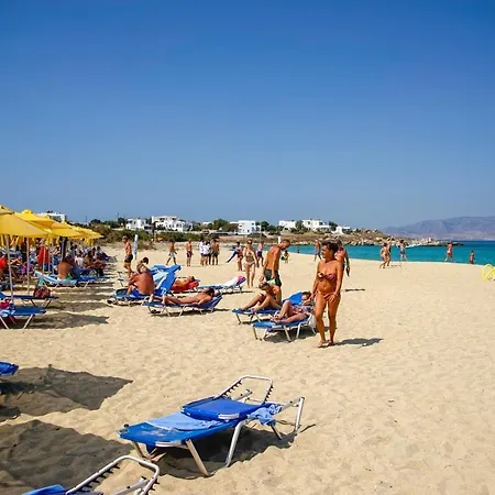 Mikri Vigla Hotel Beach Resort 3* 米科利维亚