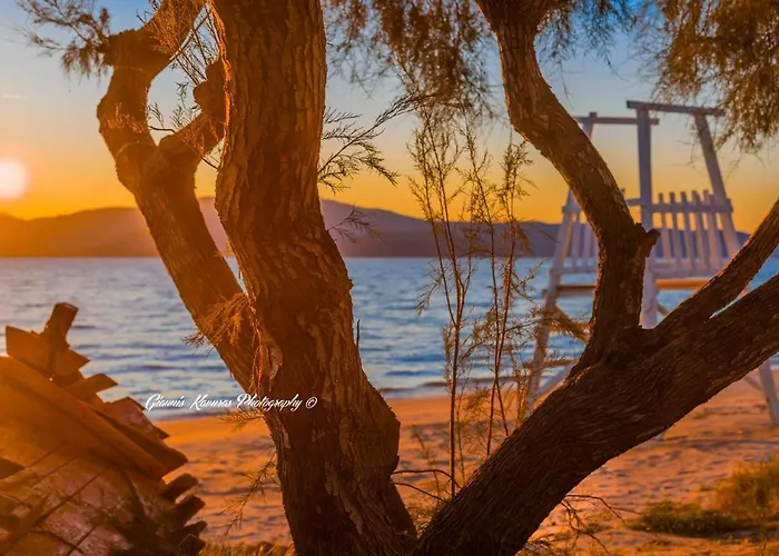 Mikri Vigla Hotel Beach Resort